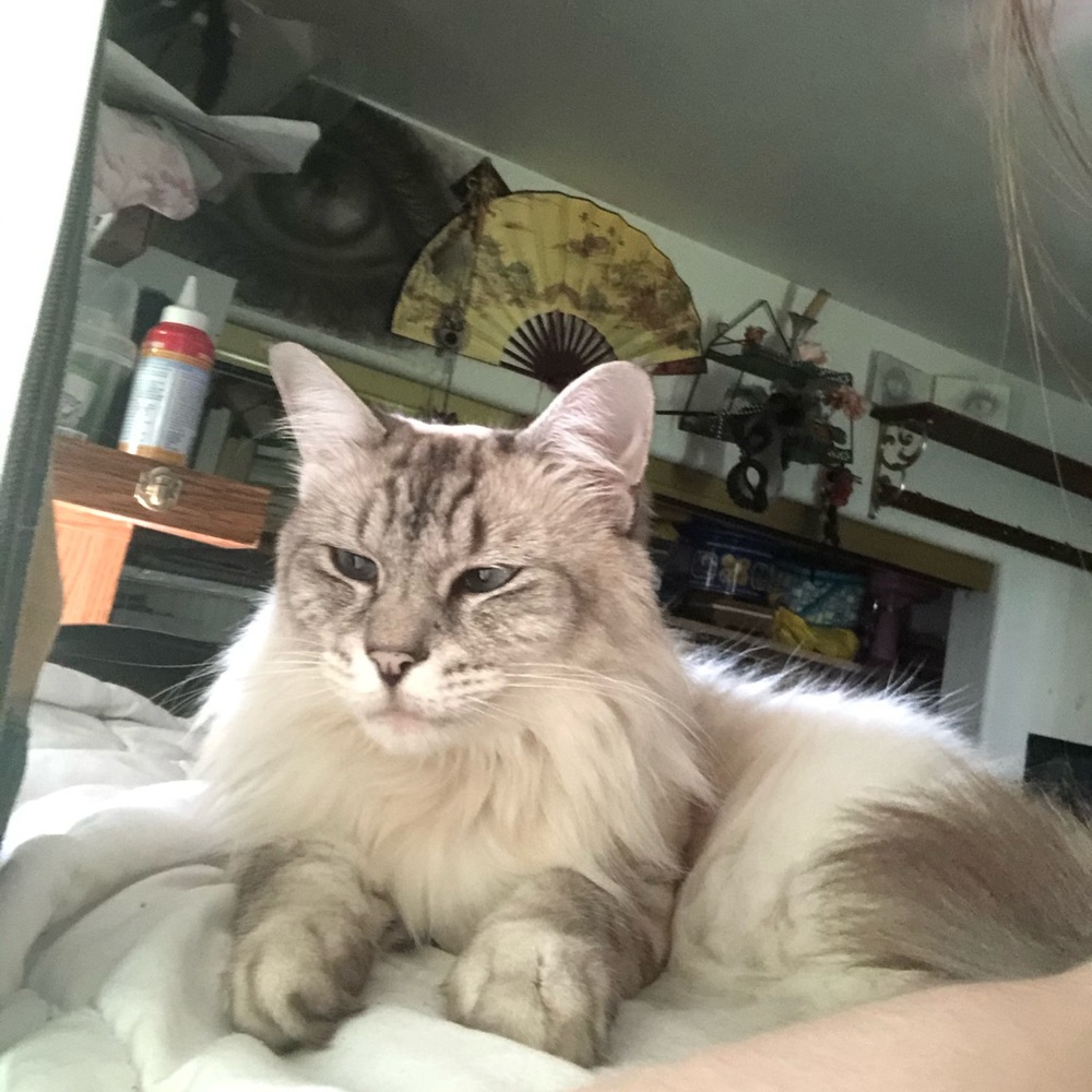 Meet your Posher, R.